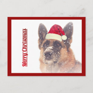 Gorgeous German Shepherd Holiday Postcard