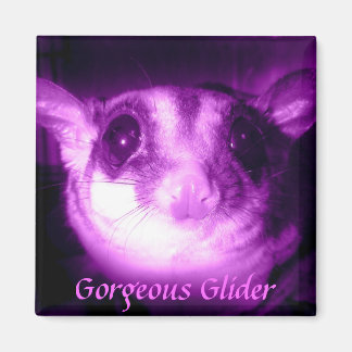 Gorgeous Glider Magnet