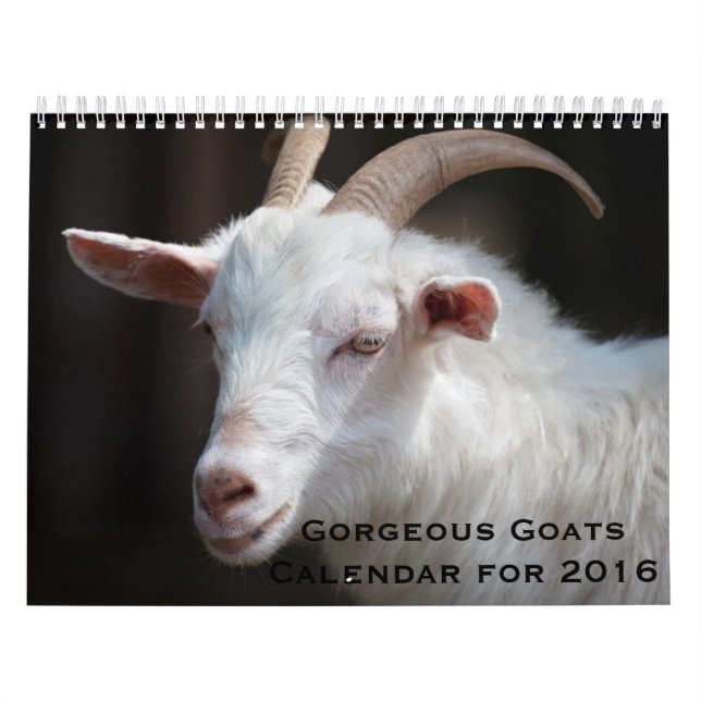 Gorgeous Goats 12 Month Calendar for 2016 (Cover)