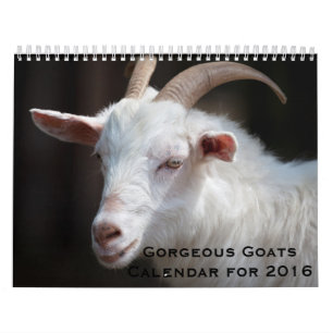 Gorgeous Goats 12 Month Calendar for 2016