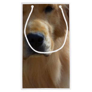 Gorgeous Golden Retriever Small Gift Bag