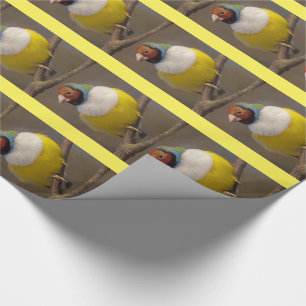 Gorgeous Gouldian Finch Wrapping Paper