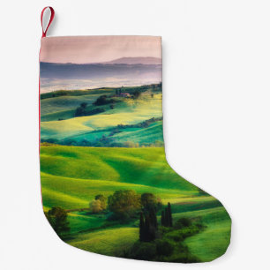 Gorgeous greens in the landscape and with light pa small christmas stocking