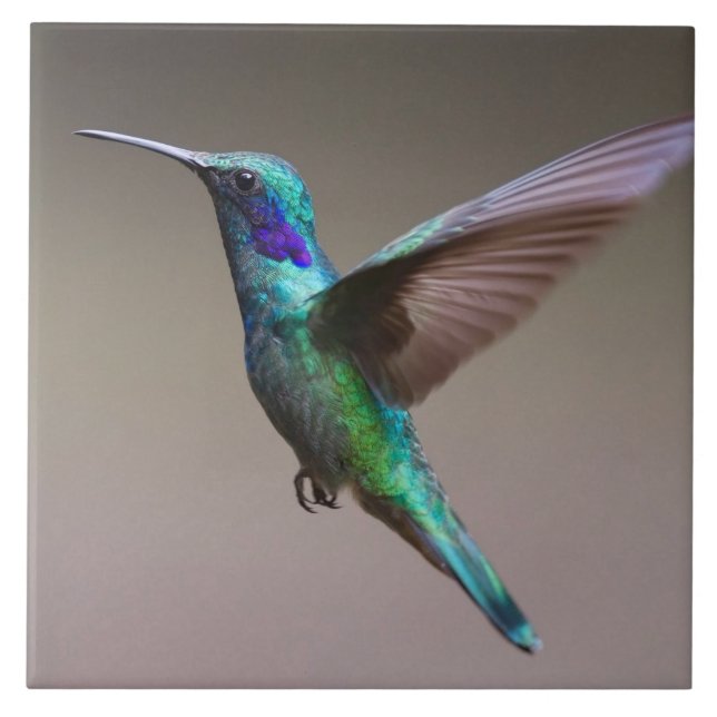 Gorgeous hummingbird in flight ceramic tile (Front)