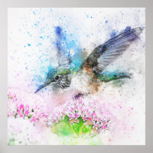 Gorgeous hummingbird watercolor poster