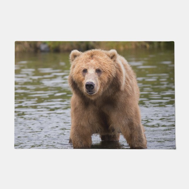 Gorgeous kodiak brown bear doormat (Front)