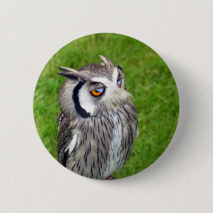Gorgeous Little Owl 6 Cm Round Badge