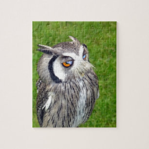 Gorgeous Little Owl Jigsaw Puzzle