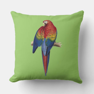 Gorgeous Macaw Vibrant Green Cushion