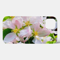 Gorgeous Malus asiatica Photo