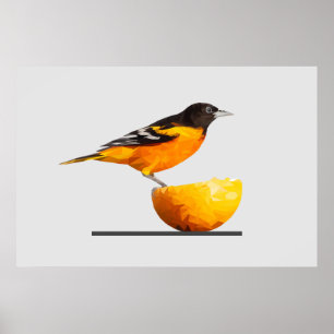 Gorgeous Minimalist Oriole Bird Poster