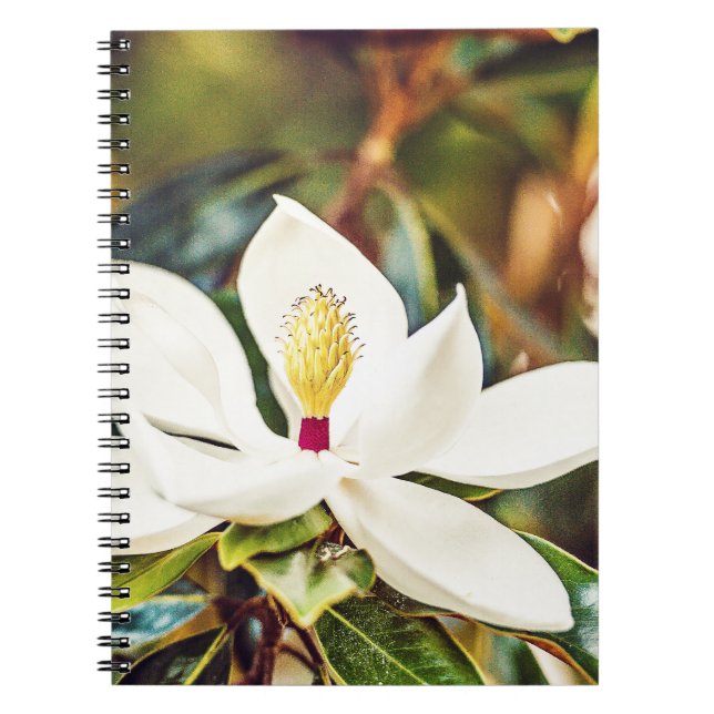 Gorgeous Mississippi Magnolia Notebook (Front)