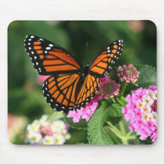 Gorgeous Monarch Butterfly Design Mouse Pad