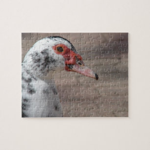 Gorgeous Muscovy Hen Duck Jigsaw Puzzle