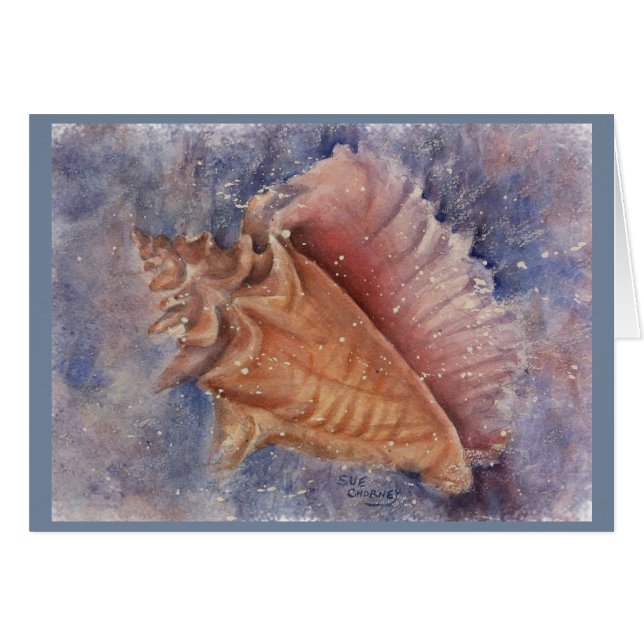 GORGEOUS OCEAN CONCH SHELL (Front Horizontal)