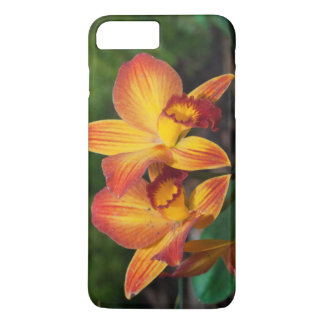 Gorgeous Orange Yellow Rhyncattleanthe Orchid iPhone 8 Plus/7 Plus Case
