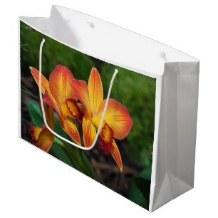 Gorgeous Orange Yellow Rhyncattleanthe Orchid Large Gift Bag