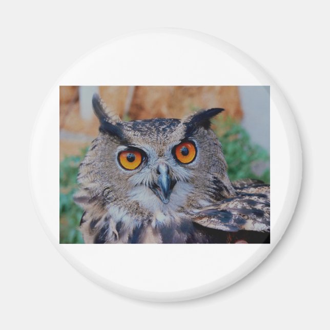 GORGEOUS OWL EYES MAGNET (Front)
