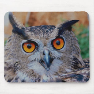 GORGEOUS OWL EYES MOUSE PAD