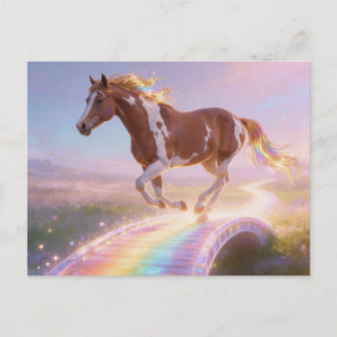 Gorgeous Paint Horse Mare Crossing Rainbow Bridge Postcard