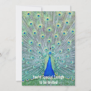 Gorgeous Peacock You're Invited Invitation