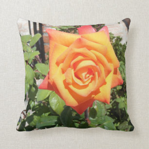 Gorgeous Pillow w/ Orange Rose from Balboa Island