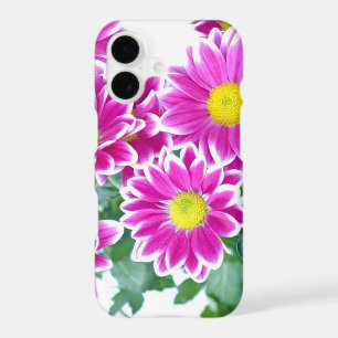 gorgeous pink daisies