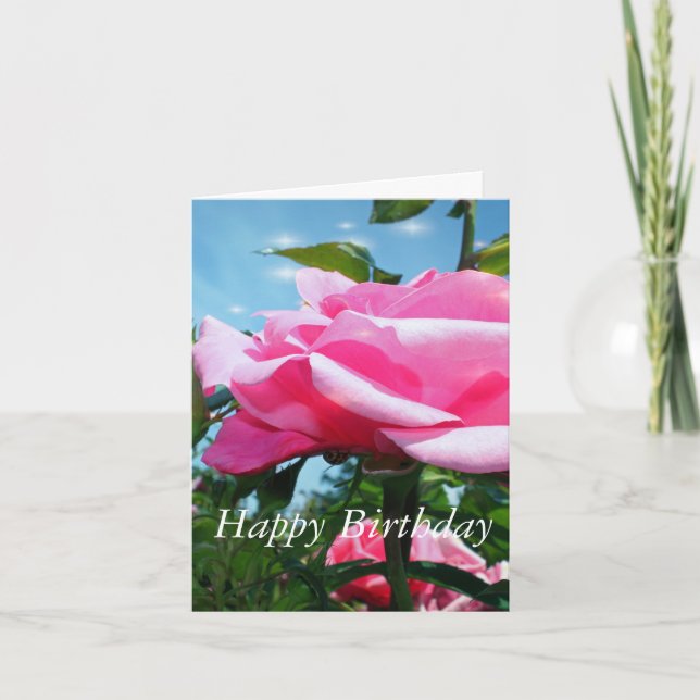 Gorgeous pink rose flower and green leaves in blue card (Front)