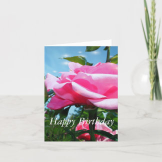 Gorgeous pink rose flower and green leaves in blue card