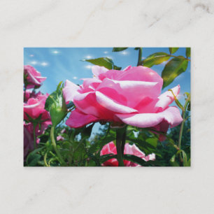 Gorgeous pink rose flowers in blue sky profile business card