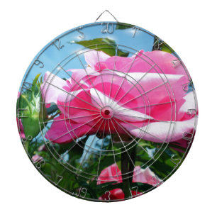 Gorgeous pink rose in blue sky. Floral photography Dartboard