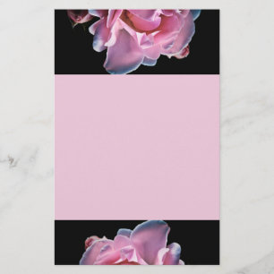 Gorgeous Pink Rose on Black Stationery