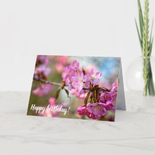 Gorgeous Pink Sakura Flowers In The Spring Garden Card