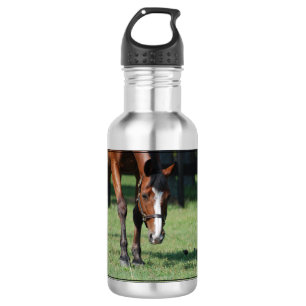 Gorgeous Quarter Horse 532 Ml Water Bottle