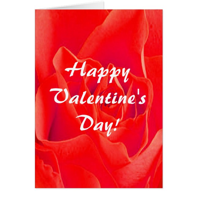 Gorgeous Red Red Rose Valentine Plain III Card (Front)