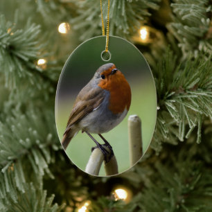 Gorgeous Robin  Ceramic Ornament