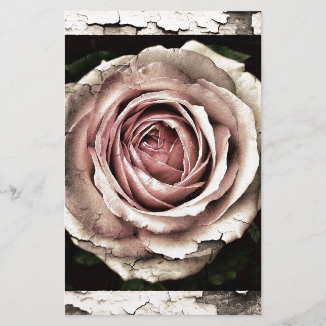 Gorgeous Rose (Front)