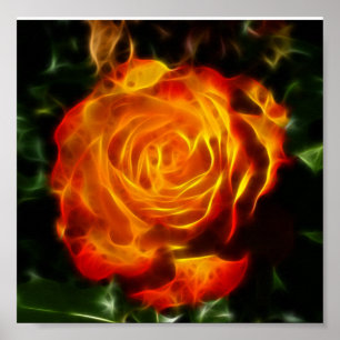 Gorgeous Rose on Fire Poster