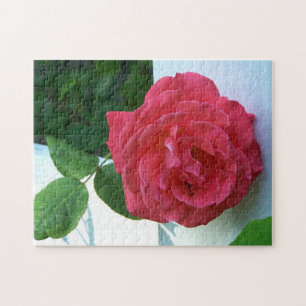 Gorgeous Rose Puzzle