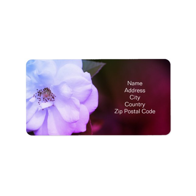 Gorgeous Rose Return Label (Front)