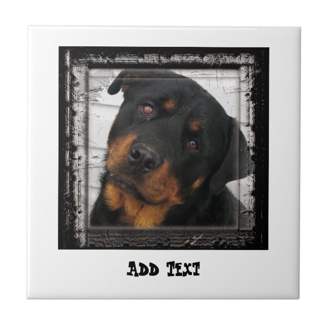 Gorgeous Rottweiler Dog face personalised Ceramic Tile (Front)