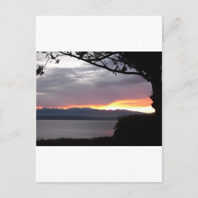 Gorgeous scenic waterfron sunset postcard (Front)