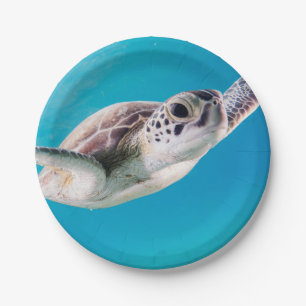 Gorgeous Sea Turtle Swimming in the Ocean Paper Plate