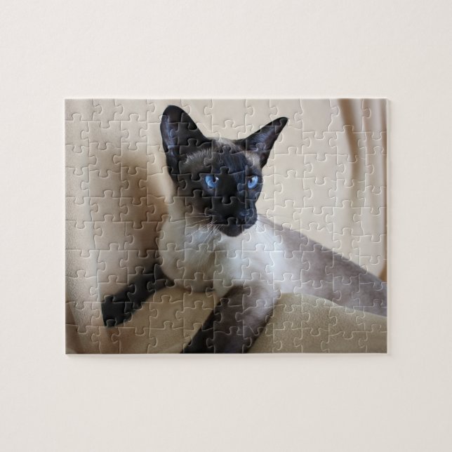 Gorgeous Siamese Cat Face Jigsaw Puzzle (Horizontal)