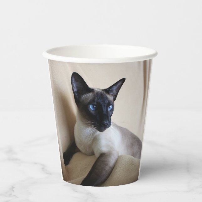 Gorgeous Siamese Cat Face Paper Cups (Front)