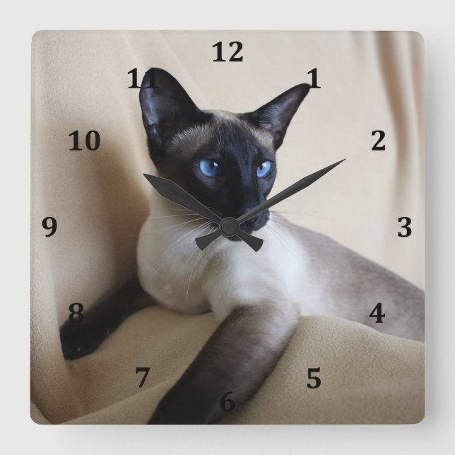 Gorgeous Siamese Cat Face Square Wall Clock (Front)