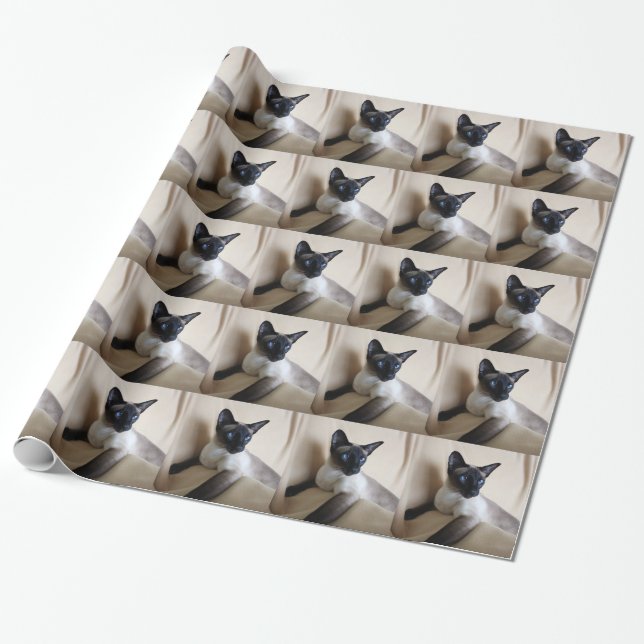 Gorgeous Siamese Cat Face Wrapping Paper (Unrolled)