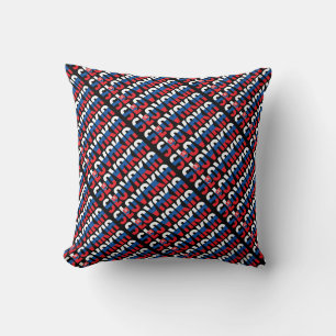 Gorgeous Slovakia National Flag Cushion