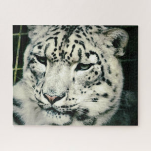 Gorgeous Snow Leopard Jigsaw Puzzle