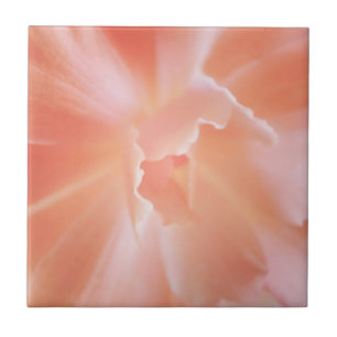 Gorgeous Soft Salmon Coloured Begonia Ceramic Tile